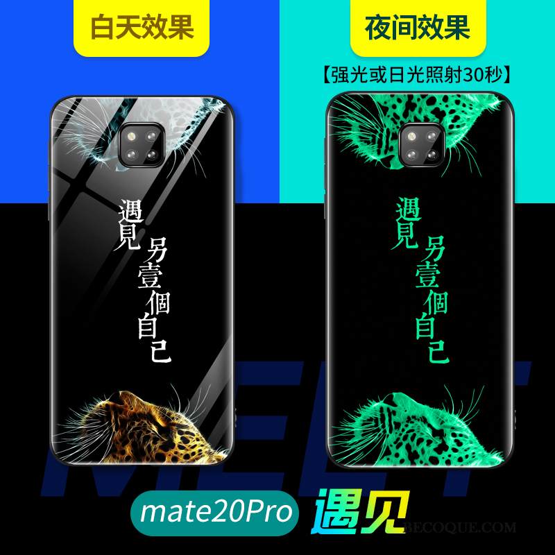 Kuori Huawei Mate 20 Pro Pehmeä Neste Pesty Suede Lasi, Kotelo Huawei Mate 20 Pro Suojaus Uusi Musta