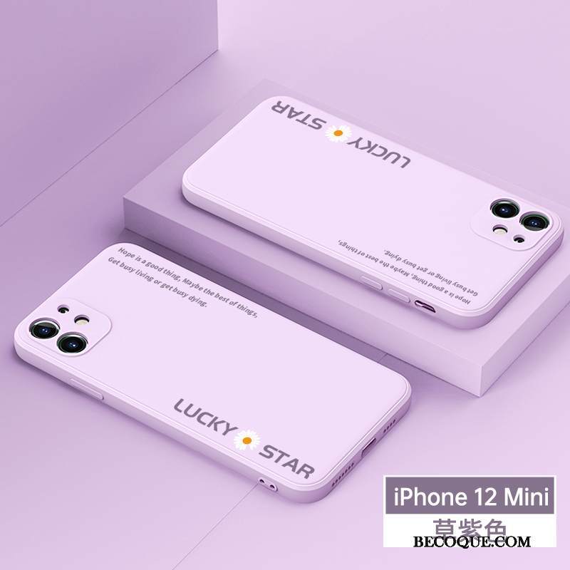 Kuori iPhone 12 Mini Laukut Persoonallisuus Murtumaton, Kotelo iPhone 12 Mini Silikoni Puhelimen Kuoret Violetti