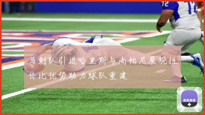 马刺队引进哈里斯与尚帕尼展现性价比优势助力球队重建