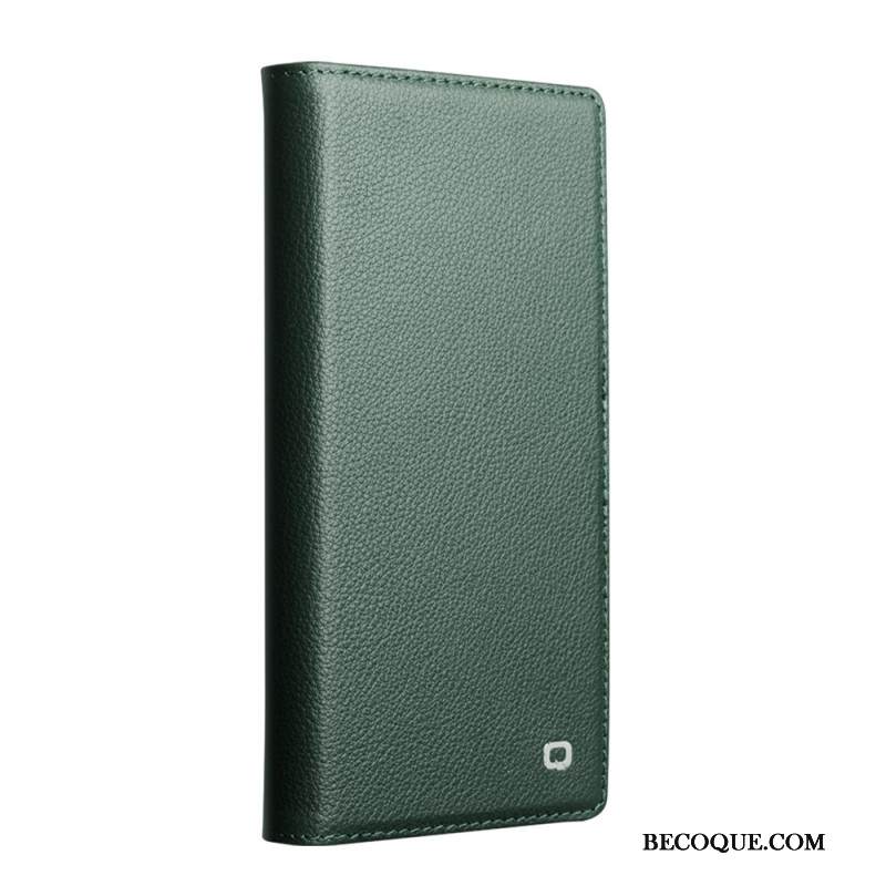 Kuoret iPhone 17 Irrotettava Magsafe-nahkakotelo Premium-tyyliin