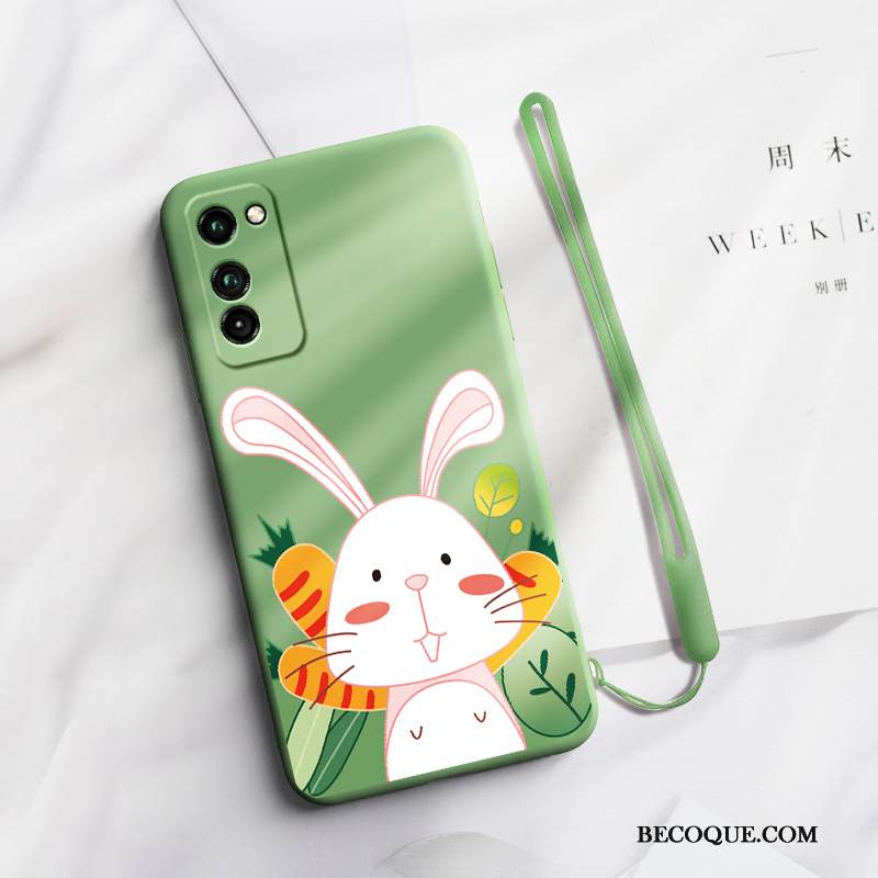 Kuori Honor View30 Pro Sarjakuva Vihreä Eläin, Kotelo Honor View30 Pro Laukut Ohut Tide-brändi