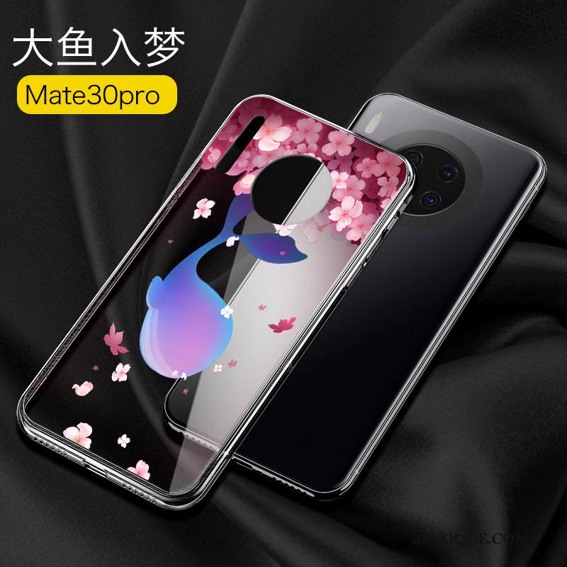 Kuori Huawei Mate 30 Pro Laukut Net Red Ultra, Kotelo Huawei Mate 30 Pro Silikoni Puhelimen Kuoret Lasi