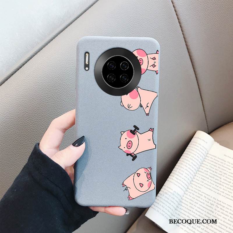 Kuori Huawei Mate 30 Pro Suojaus Kalvo Harmaa, Kotelo Huawei Mate 30 Pro Laukut Net Red Pieni