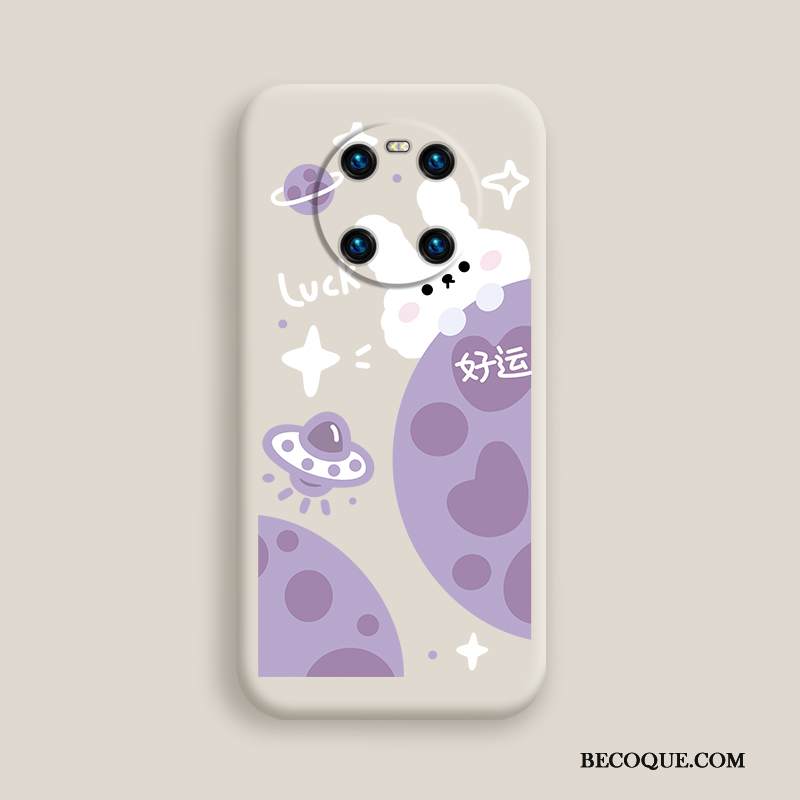 Kuori Huawei Mate 40 Laukut Net Red Jauhe, Kotelo Huawei Mate 40 Silikoni Murtumaton Tide-brändi