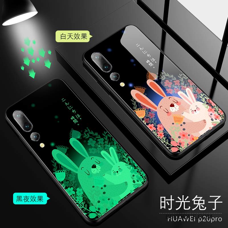Kuori Huawei P20 Pro Silikoni Lasi Kirkas, Kotelo Huawei P20 Pro Suojaus Ohut Rakastunut