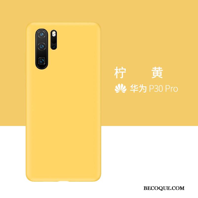 Kuori Huawei P30 Pro Laukut Puhelimen Kuoret Murtumaton, Kotelo Huawei P30 Pro Silikoni Harmaa