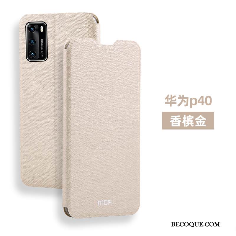 Kuori Huawei P40 Pehmeä Neste Takakansi Sininen, Kotelo Huawei P40 Silikoni Tide-brändi Puhelimen Kuoret