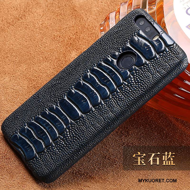 Kuori Huawei P8 Lite 2017 Luova Persoonallisuus Kova, Kotelo Huawei P8 Lite 2017 Suojaus Nuoret Puhelimen Kuoret