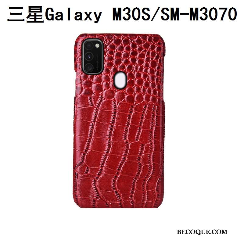 Kuori Samsung Galaxy M30s Ylellisyys Murtumaton Lintu, Kotelo Samsung Galaxy M30s Nahka Puhelimen Kuoret Takakansi