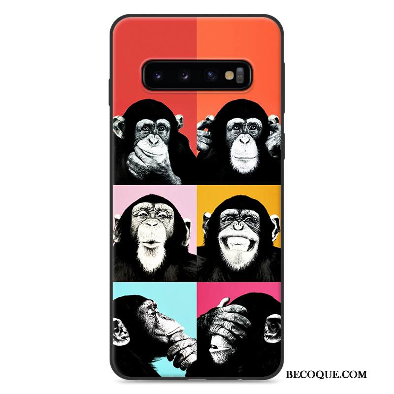 Kuori Samsung Galaxy S10+ Luova Murtumaton Trendi, Kotelo Samsung Galaxy S10+ Tila Harmaa Puhelimen Kuoret