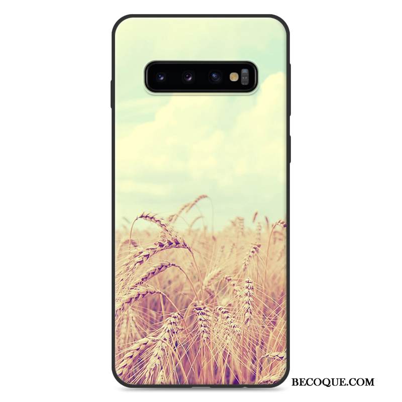 Kuori Samsung Galaxy S10+ Suojaus Tuuli Murtumaton, Kotelo Samsung Galaxy S10+ Pehmeä Neste Uusi Ihana