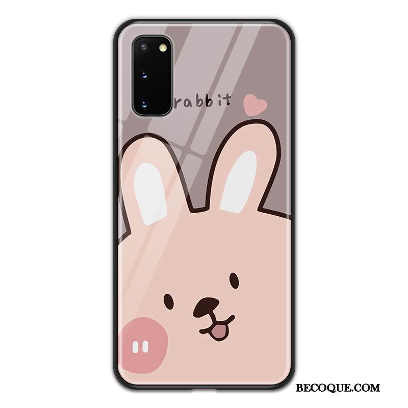 Kuori Samsung Galaxy S20 Sarjakuva Puhelimen Kuoret Net Red, Kotelo Samsung Galaxy S20 Monivärinen Rakastunut Lasi