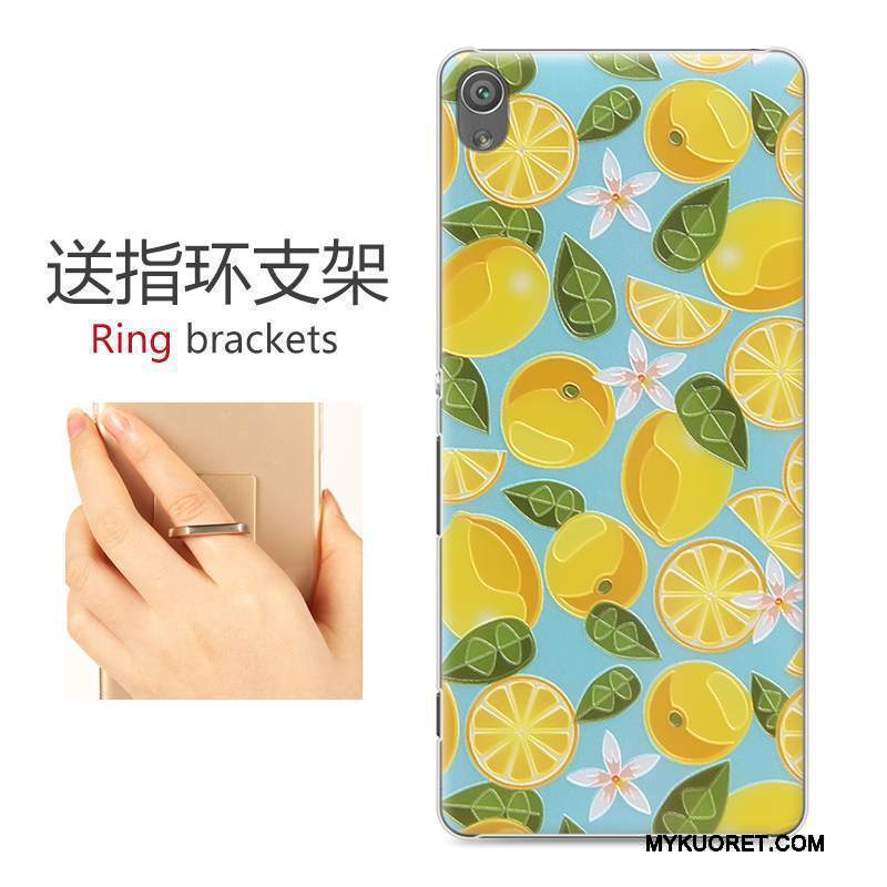 Kuori Sony Xperia Xa Monivärinen Kova Puhelimen Kuoret, Kotelo Sony Xperia Xa Suojaus Uusi