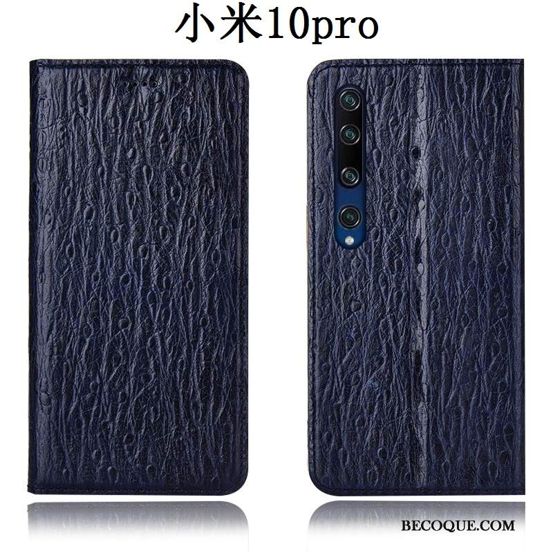 Kuori Xiaomi Mi 10 Pro Laukut Punainen Murtumaton, Kotelo Xiaomi Mi 10 Pro Kuoret Puhelimen Kuoret Lintu