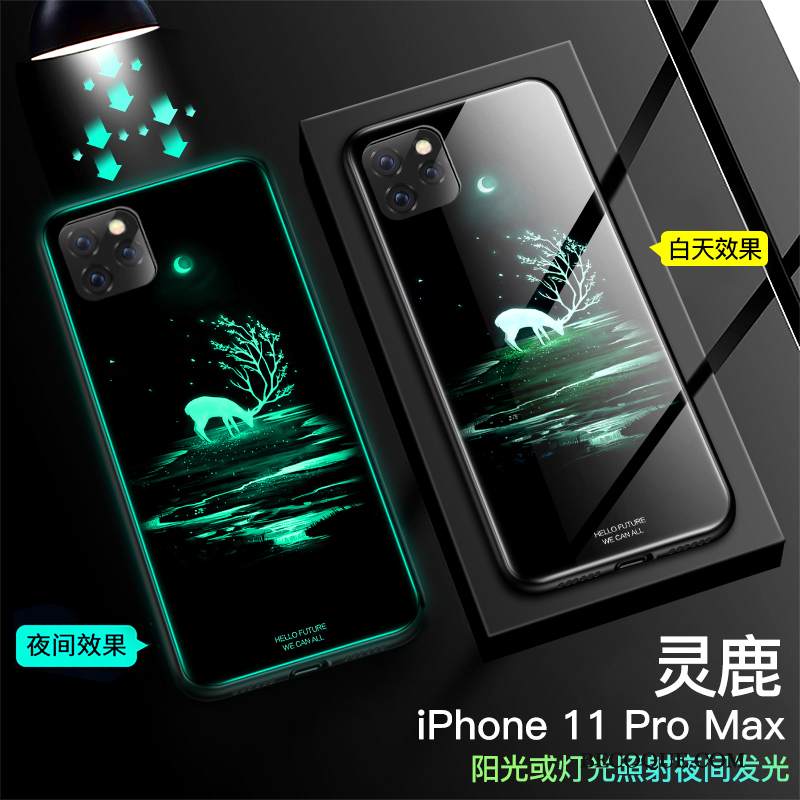 Kuori iPhone 11 Pro Max Suojaus Lasi Kirkas, Kotelo iPhone 11 Pro Max Laukut Trendi Tide-brändi