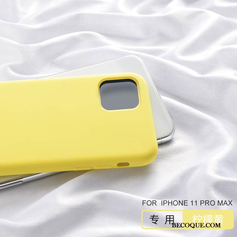 Kuori iPhone 11 Pro Max Suojaus Trendi Ylellisyys, Kotelo iPhone 11 Pro Max Silikoni Jauhe Persoonallisuus