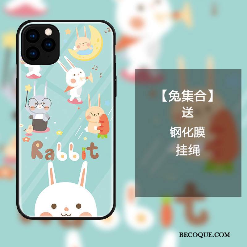 Kuori iPhone 11 Pro Sarjakuva Vihreä Rakastunut, Kotelo iPhone 11 Pro Laukut Kani Net Red