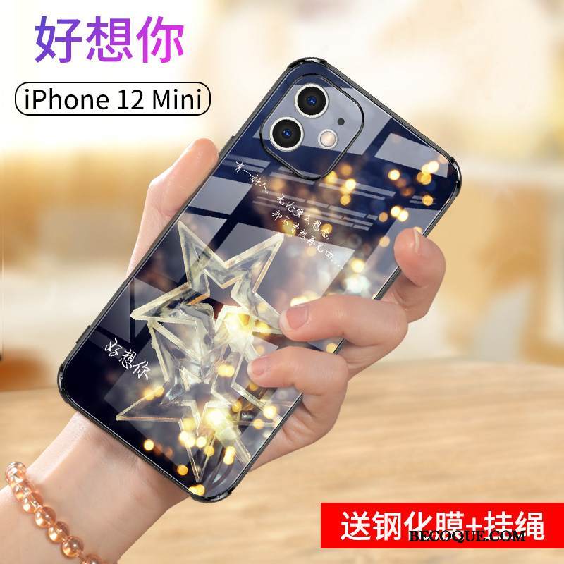 Kuori iPhone 12 Mini Laukut Rakkaus Lasi, Kotelo iPhone 12 Mini Suojaus Yksinkertainen Net Red