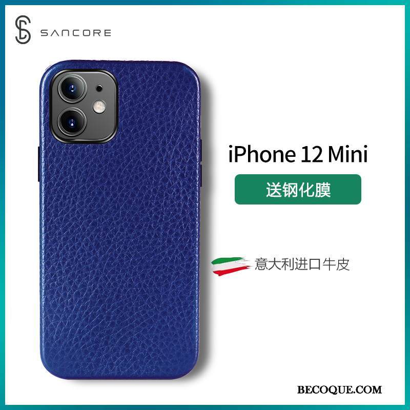 Kuori iPhone 12 Mini Nahka Trendi Violetti, Kotelo iPhone 12 Mini Laukut Ylellisyys Puhelimen Kuoret