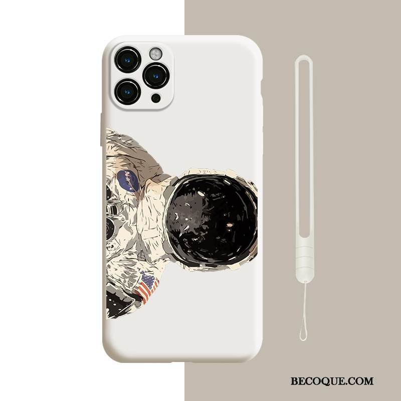 Kuori iPhone 12 Pro Laukut Persoonallisuus Vihreä, Kotelo iPhone 12 Pro Silikoni Puhelimen Kuoret Tide-brändi