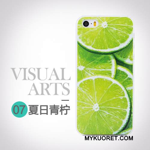 Kuori iPhone 5/5s Monivärinen Persoonallisuus Ihana, Kotelo iPhone 5/5s Luova Puhelimen Kuoret