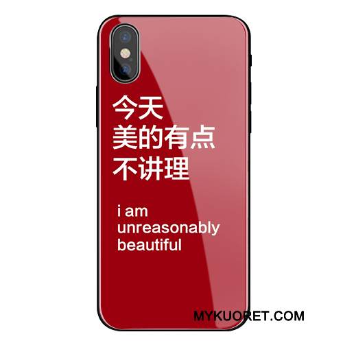 Kuori iPhone X Silikoni Lasi Trendi, Kotelo iPhone X Laukut Puhelimen Kuoret Harmaa