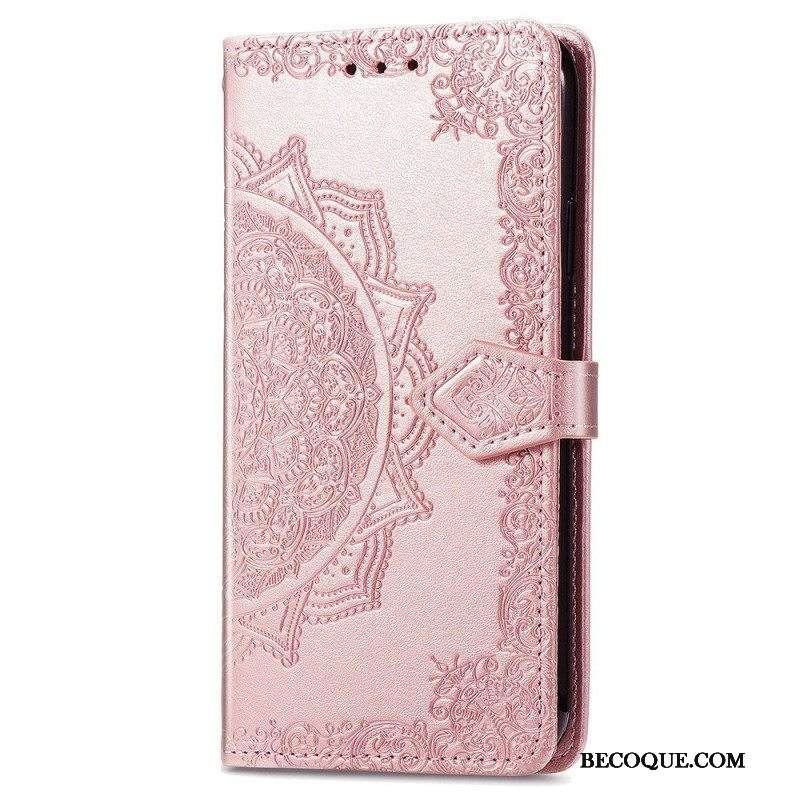 Nahkakotelo Samsung Galaxy M53 5G Vintage Mandala