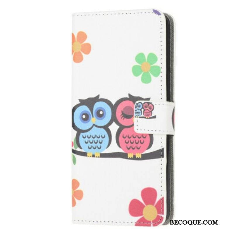 Kotelot iPhone 13 Mini Pöllöpari