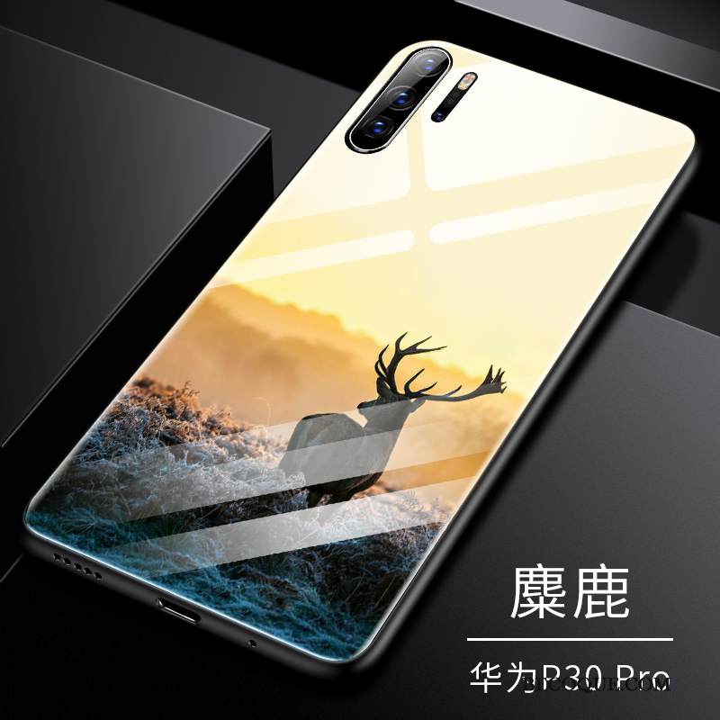 Kuori Huawei P30 Pro Silikoni Lasi Persoonallisuus, Kotelo Huawei P30 Pro Pehmeä Neste Karkaisu Kalvo