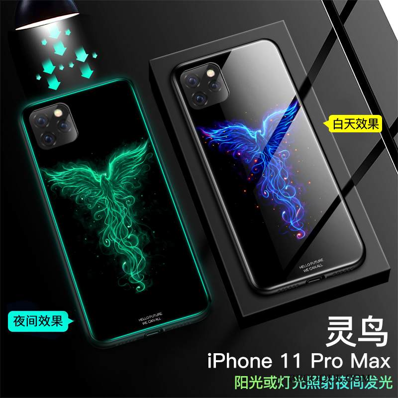 Kuori iPhone 11 Pro Max Suojaus Lasi Kirkas, Kotelo iPhone 11 Pro Max Laukut Trendi Tide-brändi